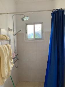 Old YundumBanana Republic的浴室内配有蓝色淋浴帘