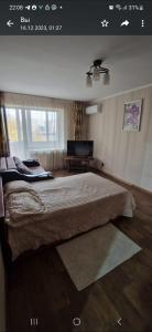 卡拉甘达Однокомнатная квартира в Караганде的一间卧室配有一张大床和电视