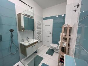松博特海伊One Step Apartman - City Center with Self Check-In的一间带水槽、卫生间和淋浴的浴室