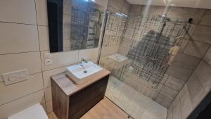 Luganjolie petite maison 134 lugan的浴室配有盥洗盆和带镜子的淋浴