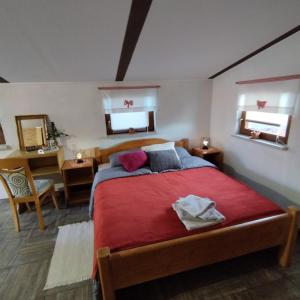 圣马丁娜穆里Holiday home Novak M的一间卧室配有一张带红色毯子的床和两个窗户。