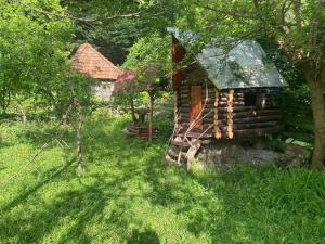 伊斯梅尔雷Buynuz Village的小屋旁草木小屋