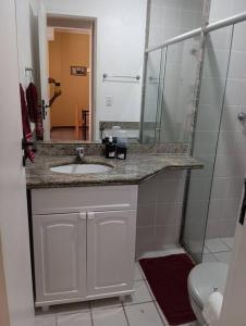 坎普斯戈伊塔卡济斯Apto confortável, acolhedor e bem localizado的一间带水槽和淋浴的浴室