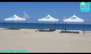 特拉MAGICAS VACACIONES FRENTE AL MAR A2的海滩上的一组白色遮阳伞