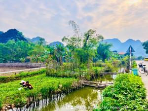 宁平Ninh Bình Family Homestay的河边的草上猴子