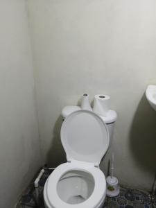 BalgueEl Güis hostel的浴室设有卫生间,配有两卷卫生纸