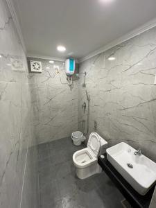 蓬蒂切里Villa De Jeff的一间带卫生间和水槽的浴室