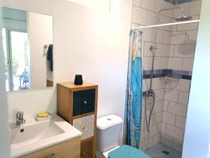 乌图罗阿Fare Kairos的浴室配有卫生间、盥洗盆和淋浴。