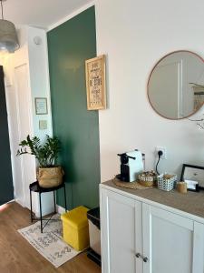 普罗旺斯艾克斯Studio Dolce Vita Aix en Provence的厨房设有绿色的墙壁和镜子