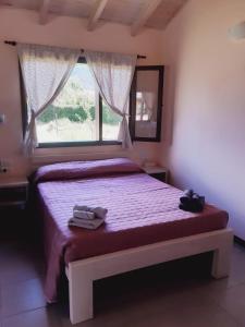埃尔奥约Cabañas Alma del Sur的一间卧室设有一张大床和窗户