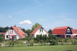 ZwiggelteSummio Bungalowpark Het Hart van Drenthe的一群有红色屋顶的房屋