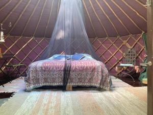 曼蒂哈尔尤Jurtta Linkkumylly的蒙古包内的一张床铺,配有蚊帐