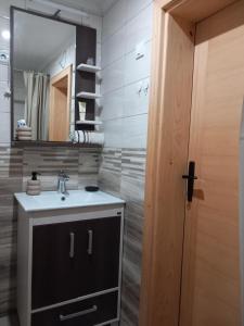 ŠljivovicaBrvnare Na Brdu的一间带水槽和镜子的浴室
