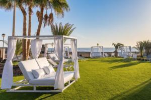 卡勒达德福斯特Elba Sara Beach & Golf Resort的棕榈树草坪上的白色椅子