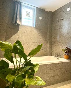 帕罗林Crystall Goa Palolem的前景浴室,配有浴缸和植物