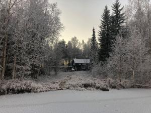 罗瓦涅米Lakeside Log Villa Edith的树林里的房子,地面上积雪