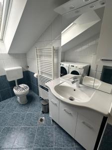 雷兹夫图新Apartment Izba Snovik的一间带水槽和洗衣机的浴室