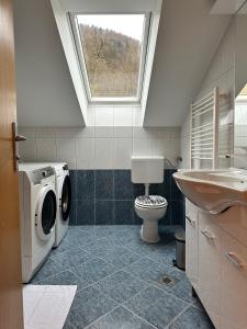 雷兹夫图新Apartment Izba Snovik的一间带洗衣机、卫生间和窗户的浴室
