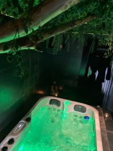 韦尔维耶Suite Marie的浴室配有带绿水的浴缸。