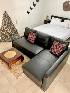 基内雷特Kinneret View的客厅配有一张黑色真皮沙发,设有一张床