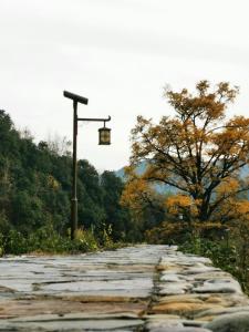 黄山风景区0517客栈的一条树木林立的路旁的路灯