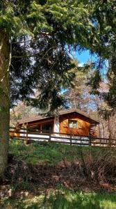 RevòLa quiete di Tregiovo - CIPAT 22253-AT-34903的小木屋设有围栏和一棵树