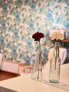 佛罗伦萨Leopoldini Appartamenti的两个花瓶坐在桌子上,里面花