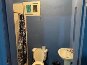 Coxen HoleAirport Inn Roatan的一间带卫生间和水槽的小浴室