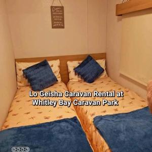 惠特利湾Lo Geisha Caravan Rental at Whitley Bay Caravan Park的床上有2个蓝色枕头