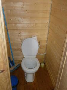 圣皮索内维尔camping Manex的木墙内带卫生间的小浴室