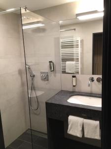 希尔登城市公园酒店的带淋浴、盥洗盆和镜子的浴室