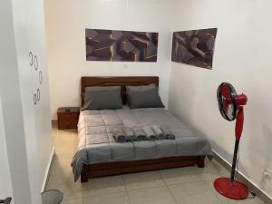 基加利Budget Retreat Kiyovu的一间卧室配有一张床和一个红色风扇