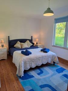 彭赞斯Helnoweth Lodge的一间卧室配有一张床和蓝色地毯