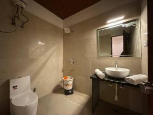 布什格尔One Light Stays at Golden Bird的一间带水槽、卫生间和镜子的浴室