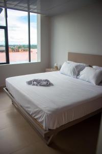 新洛哈Hotel Amazonas Suite, Suite Presidencial的卧室设有一张白色的床和大窗户