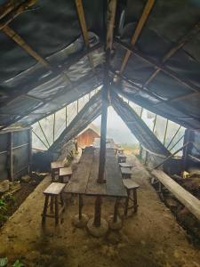 哈普特莱Eco Lodge Haputale-Camping Sri lanka的蓝色帐篷内的长木桌,配有长凳