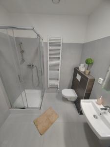 布尔诺Skořepka15 apartment Brno-střed的带淋浴、卫生间和盥洗盆的浴室