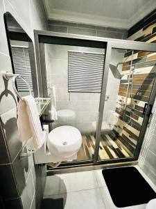 SunyaniKarjel Homes Apartments的一间带水槽和卫生间的浴室