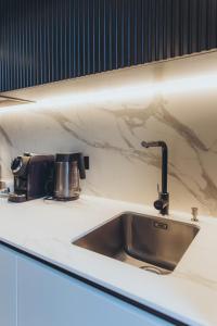 采西斯Apartments Vitenberg的厨房柜台设有水槽和咖啡壶