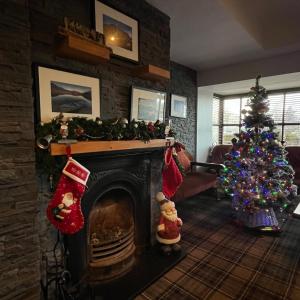 塔伯柯里叶芝县酒店的客厅配有圣诞树和壁炉