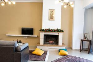 卡斯托里亚Διαμέρισμα στη χλόη Καστοριάς的客厅设有壁炉,拥有圣诞装饰