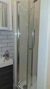 纽波特Stunning 1 bed flat-Newport (F3)的浴室里设有玻璃门淋浴