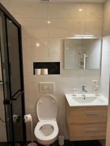 Couvet科维市中心舒适一室公寓的一间带卫生间和水槽的浴室