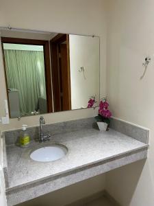 皮拉伊河畔巴拉Aldeia das Águas Park Resort - Quartier - Flat B102的浴室的柜台设有水槽和镜子