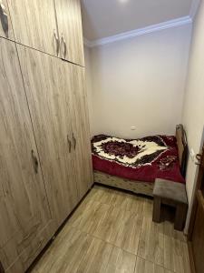 杰尔穆克Jermuk Mini Apartment的一间带一张床和木制橱柜的小卧室