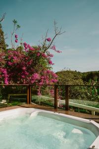 穆隆古Villa Nova Holanda的围栏上种有粉红色花的游泳池
