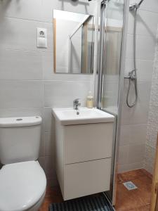 马拉加KHORS的一间带卫生间、水槽和镜子的浴室