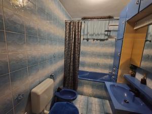 斯玛杰克托莱塞Apartment Prešeren的蓝色的浴室设有卫生间和水槽