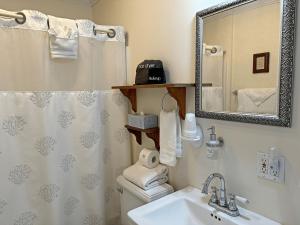 普罗维登斯Christopher Dodge House的一间带水槽、卫生间和镜子的浴室