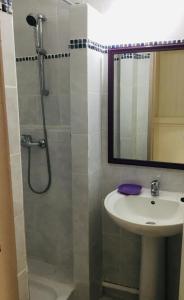 Rivière-PiloteVilla Coquelicot的带淋浴、盥洗盆和镜子的浴室